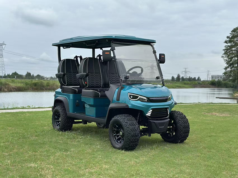 LSV GOLF CART-4