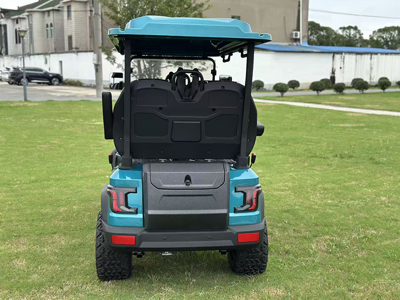 LSV GOLF CART-4